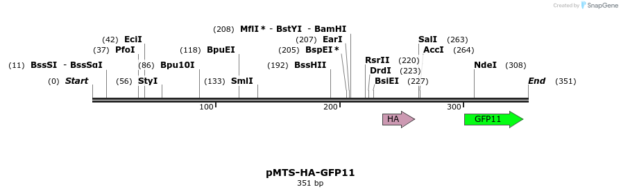344897_map