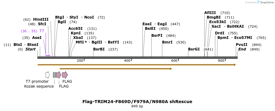 34490_map