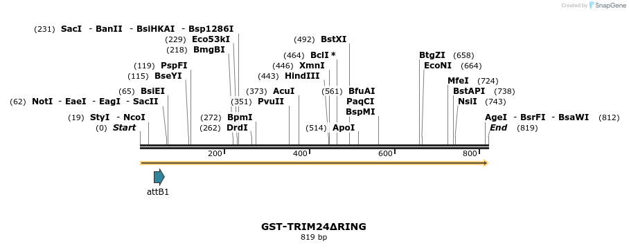34493_map