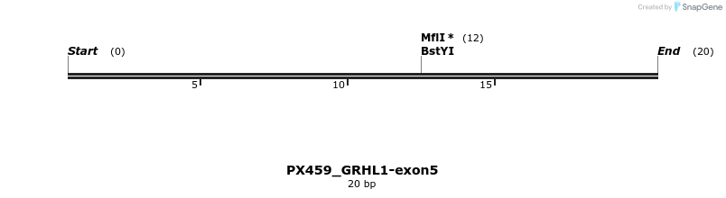 344942_map