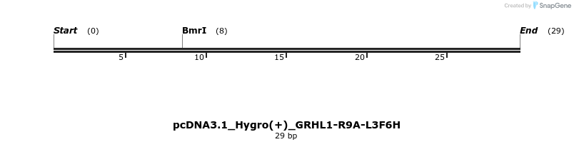 344946_map