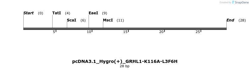 344948_map
