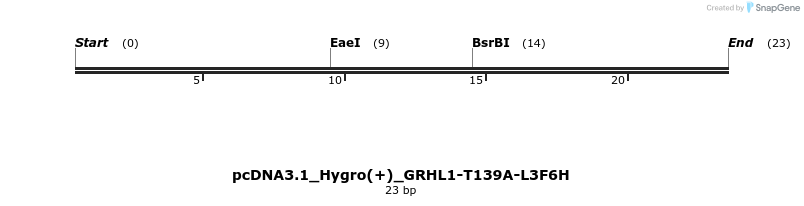 344949_map