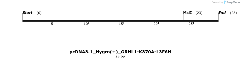 344950_map