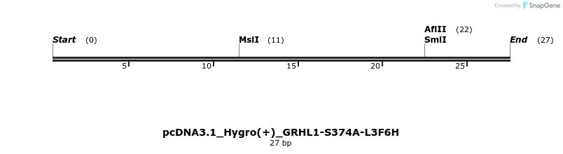 344951_map