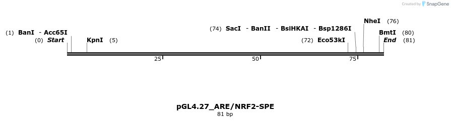 344954_map