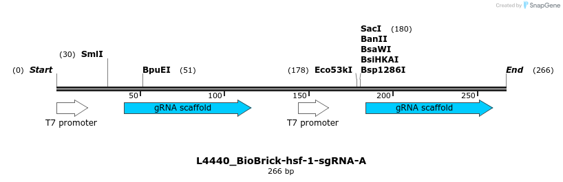 344965_map