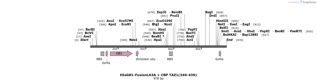 344998_map