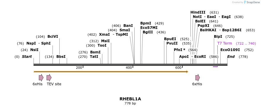 34501_map