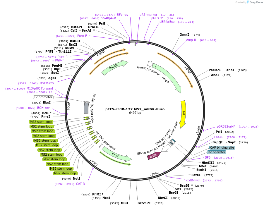 345021_map