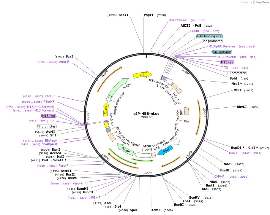 345040_map