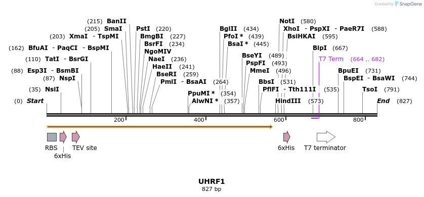 34506_map