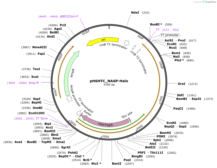 345076_map
