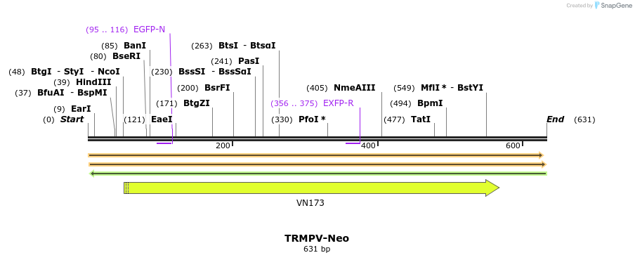 34511_map
