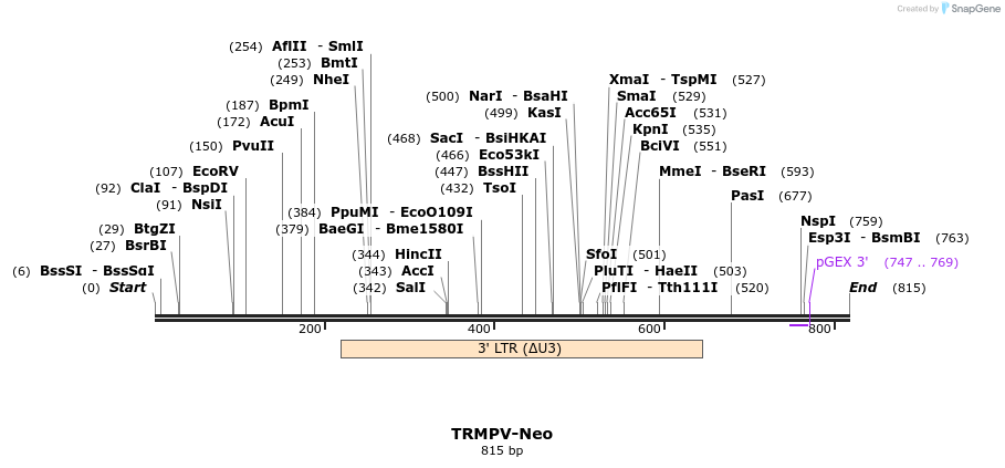 34512_map