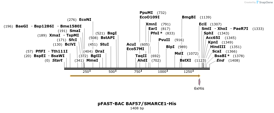 345123_map
