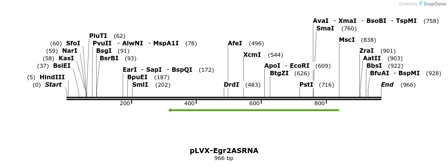 345156_map