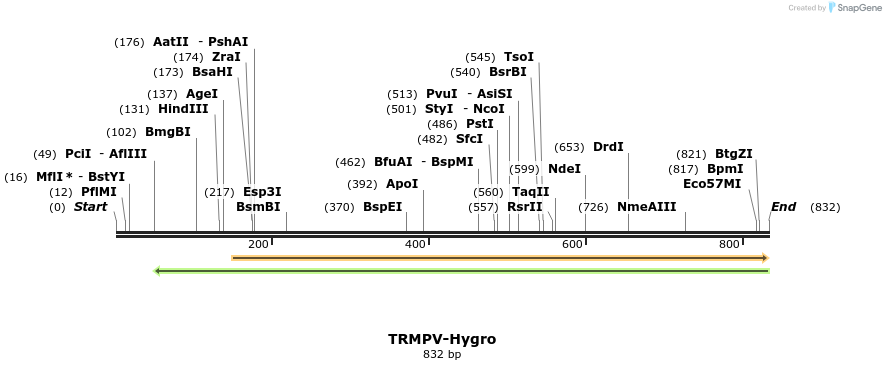 34518_map