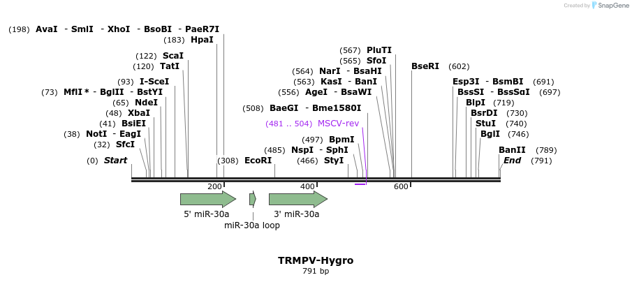 34519_map