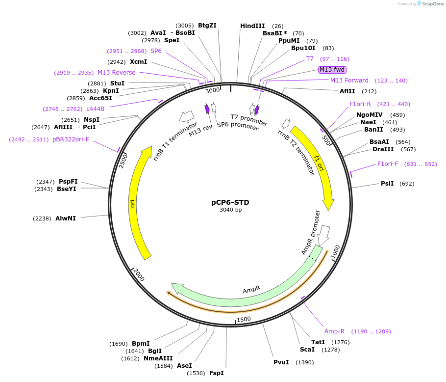 165795-plasmid-map-sequence-id-345196