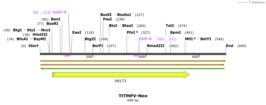 34520_map