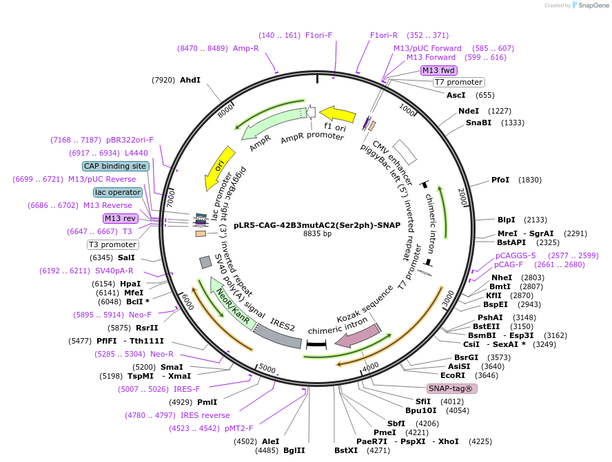 345212_map