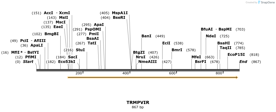 34524_map