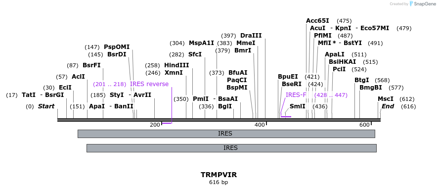 34525_map