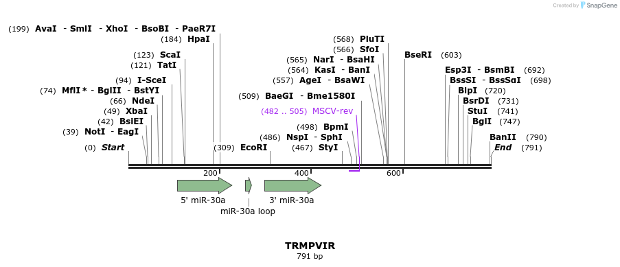 34526_map