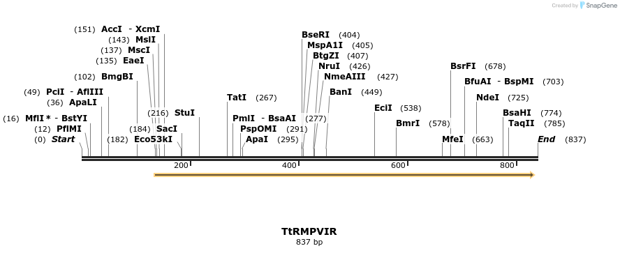 34528_map