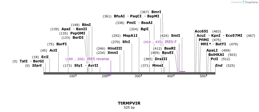 34529_map