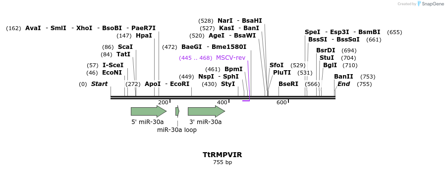 34530_map