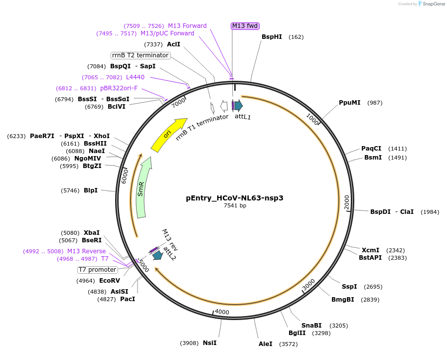 345359_map