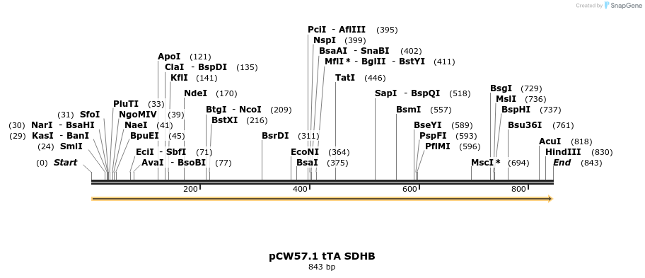 345361_map