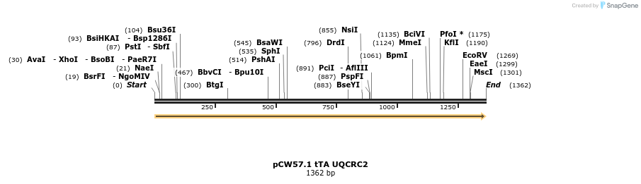 345362_map