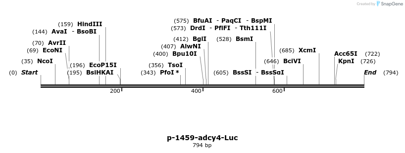 34537_map