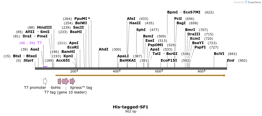 34539_map