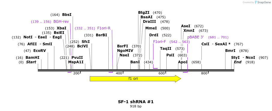 34541_map