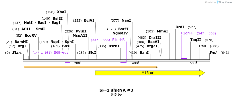 34542_map