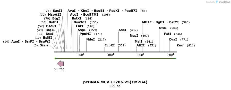 34544_map