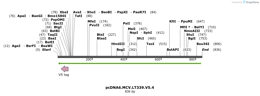 34550_map