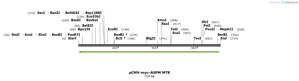 34551_map
