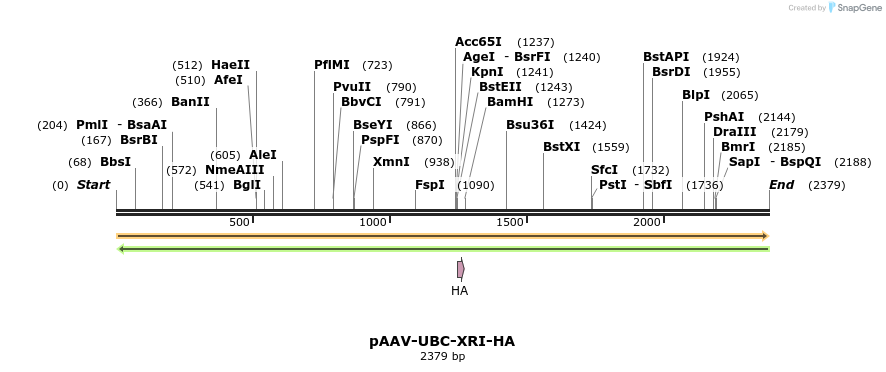 345561_map