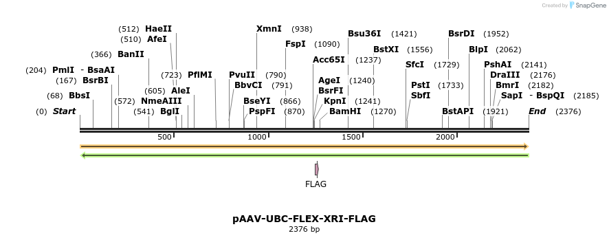 345563_map