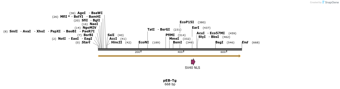 34571_map