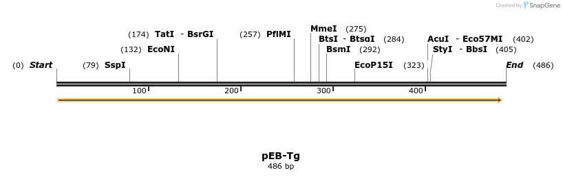 34572_map