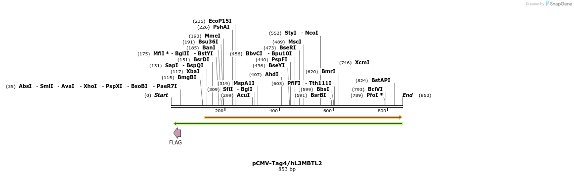 34575_map