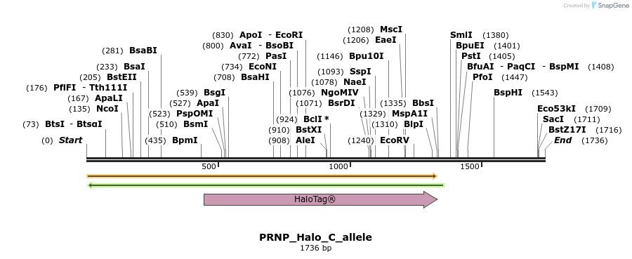 345753_map