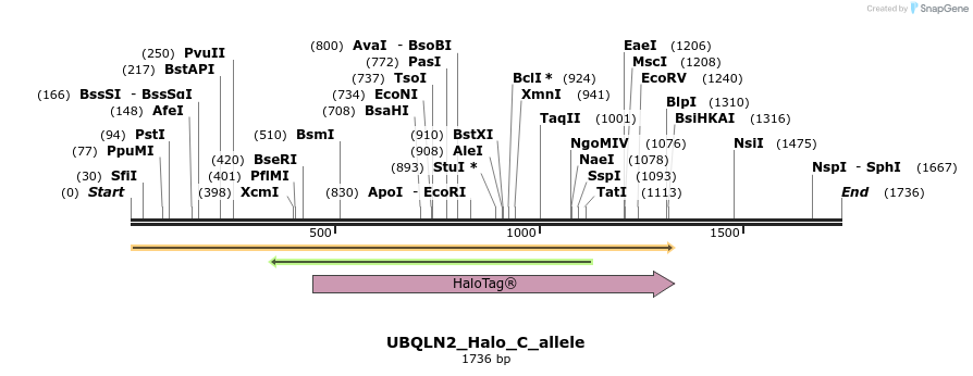 345756_map