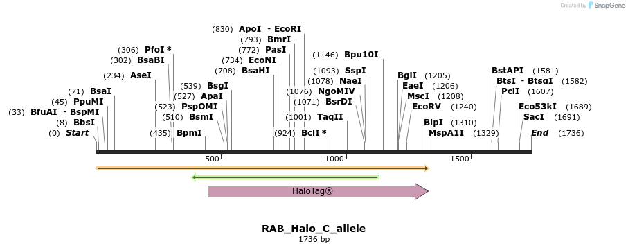 345761_map